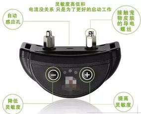自动止吠器 是训练工具，还是另类折磨？