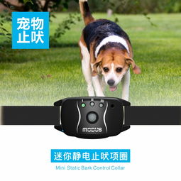 止吠器 工作原理与合法使用的利弊探讨