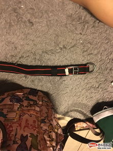 萌宠好物大甩卖 陪宝宝回国的止吠器等用品大清仓