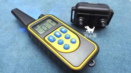 止吠器评测 代言狗“以身试法”，美女员工电击自虐！