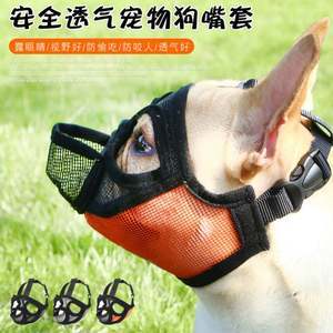 巴哥犬冬季造型指南 保暖与礼仪并重